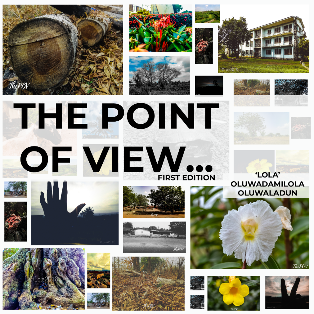 The Point of View Photo Book